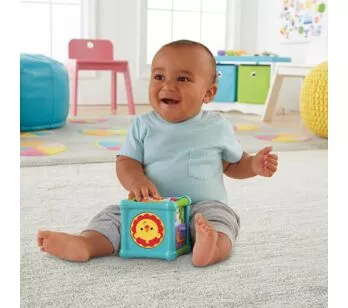 Cubo de Atividades Animaizinhos Divertidos - Fisher-Price